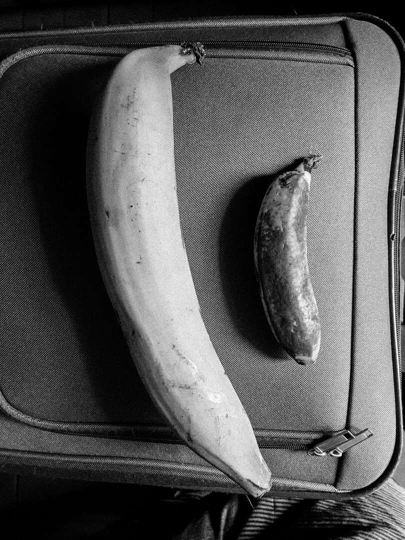 100 kelímků, vidličku, dvě (fakt dvě) vafle a 4 starý liliputánský banány (s. 89)